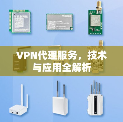 VPN代理服务,技术与应用全解析
