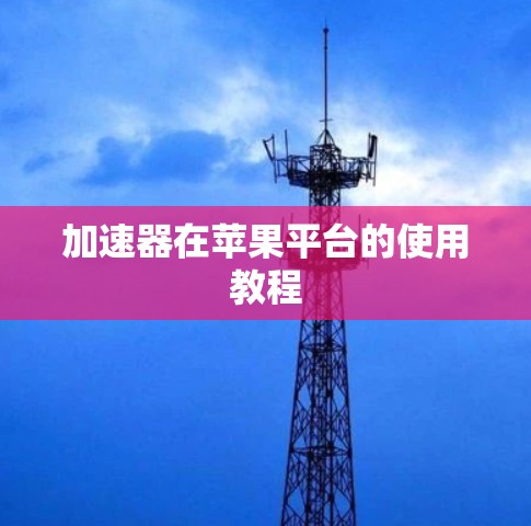 加速器在苹果平台的使用教程