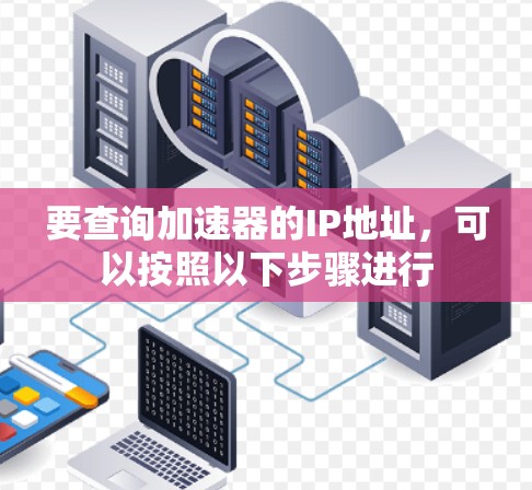 要查询加速器的IP地址，可以按照以下步骤进行