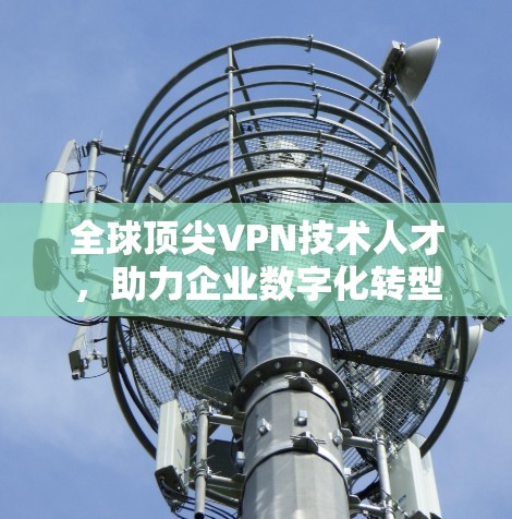 全球顶尖VPN技术人才,助力企业数字化转型 全球顶尖VPN技术人才,助力企业数字化转型