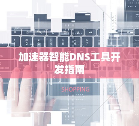 加速器智能DNS工具开发指南