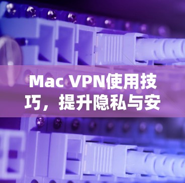 Mac VPN使用技巧,提升隐私与安全