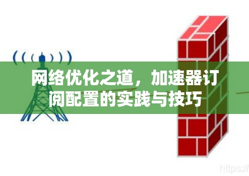 网络优化之道，加速器订阅配置的实践与技巧