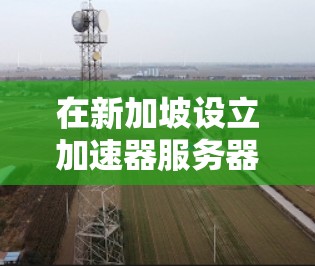 在新加坡设立加速器服务器节点涉及多个关键因素，确保其高效、安全且能提升用户体验。以下是详细的步骤和考虑因素